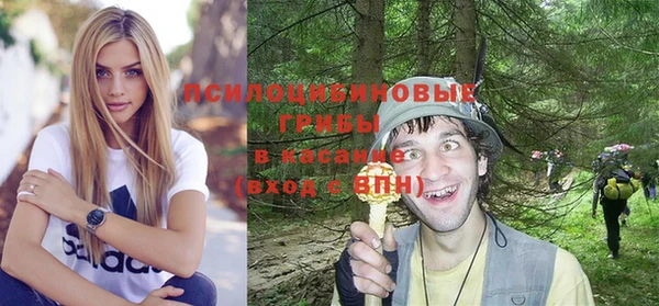 стаф Алексин