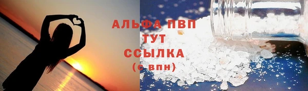 стаф Алексин