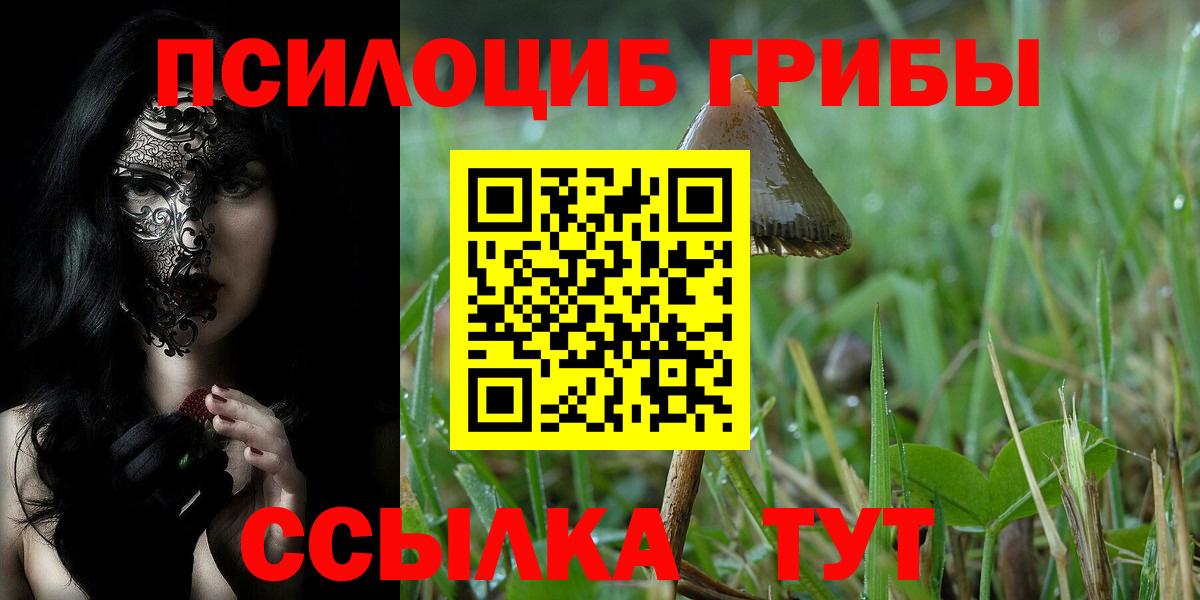 Галлюциногенные грибы Cubensis  Вход с VPN  Галлюциногенные грибы Psilocybine cubensis  Касимов 