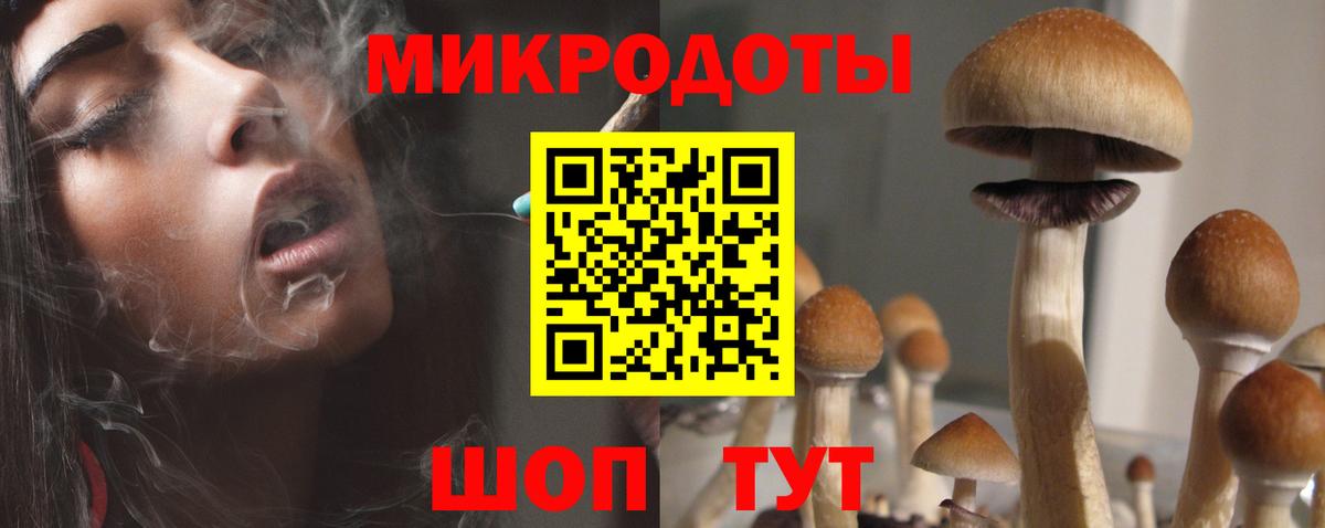 Псилоцибиновые грибы Psilocybe Касимов