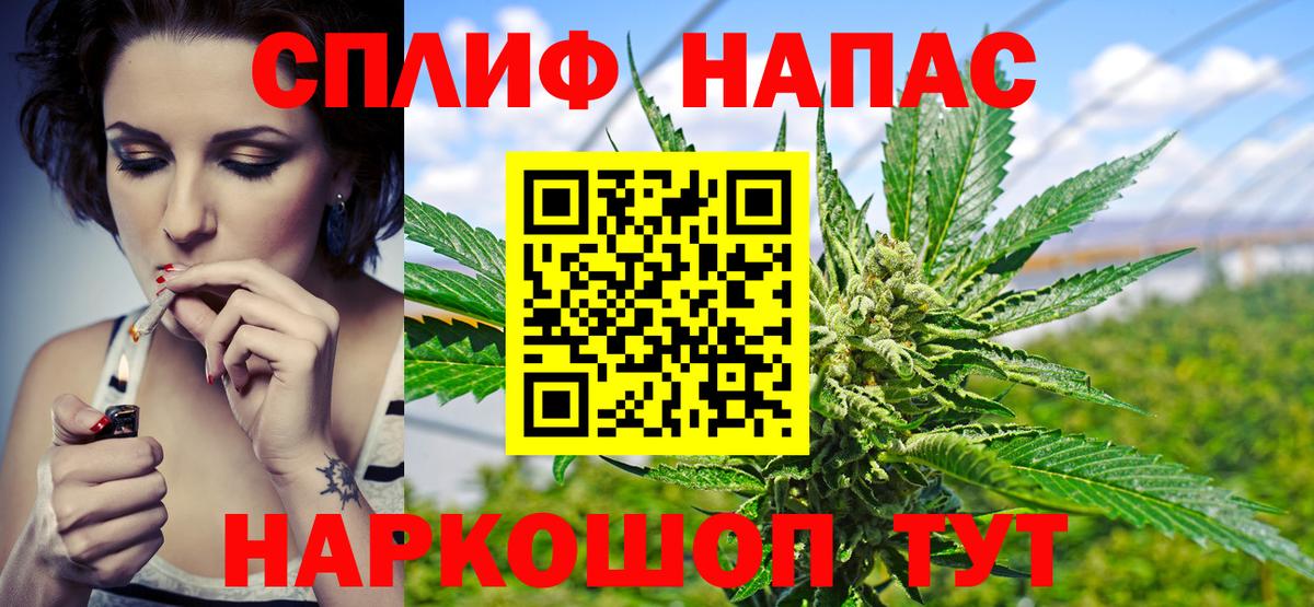 Каннабис план Касимов